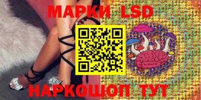винт Тара