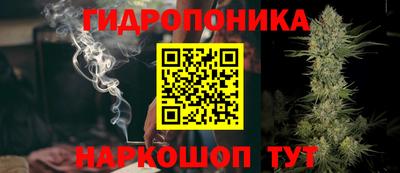 винт Тара