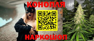 винт Тара