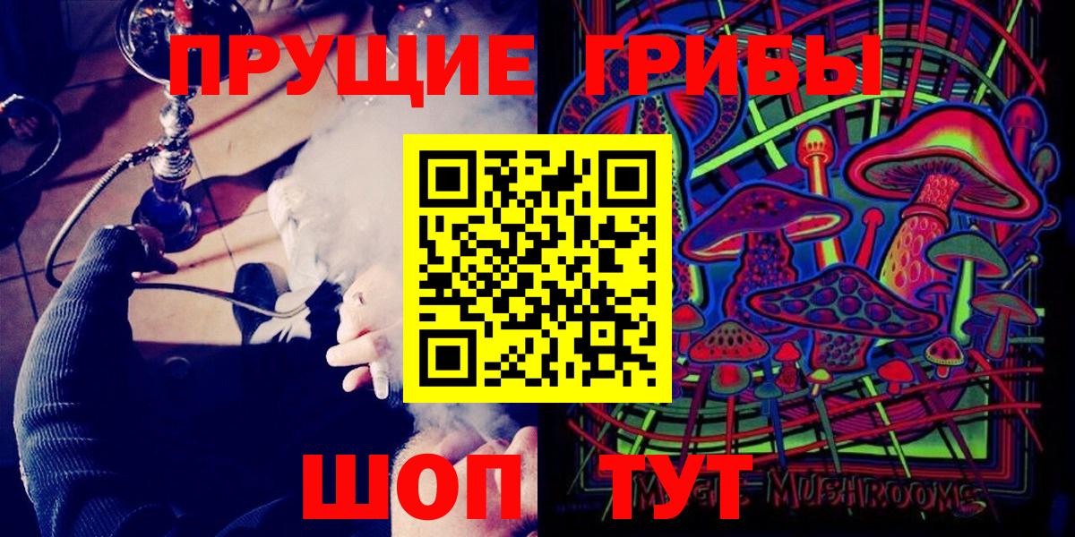 Галлюциногенные грибы Psilocybe Новодвинск