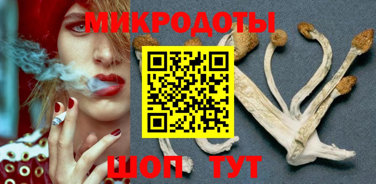 наркошоп  Вход с VPN  Новодвинск  Псилоцибиновые грибы прущие грибы  Псилоцибиновые грибы мицелий 